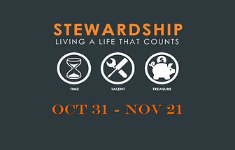 Website stewardship image